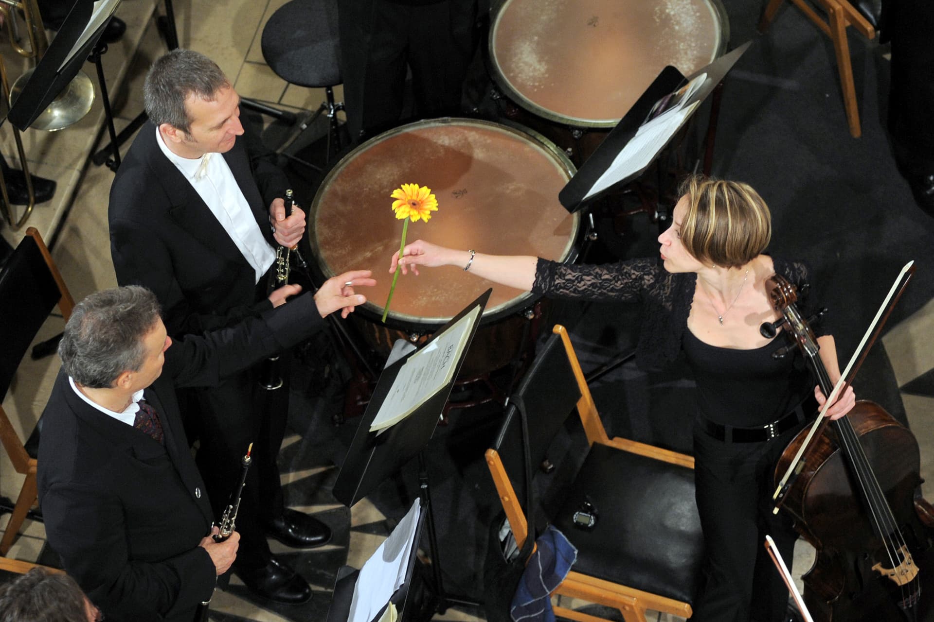 Das Neue Orchester